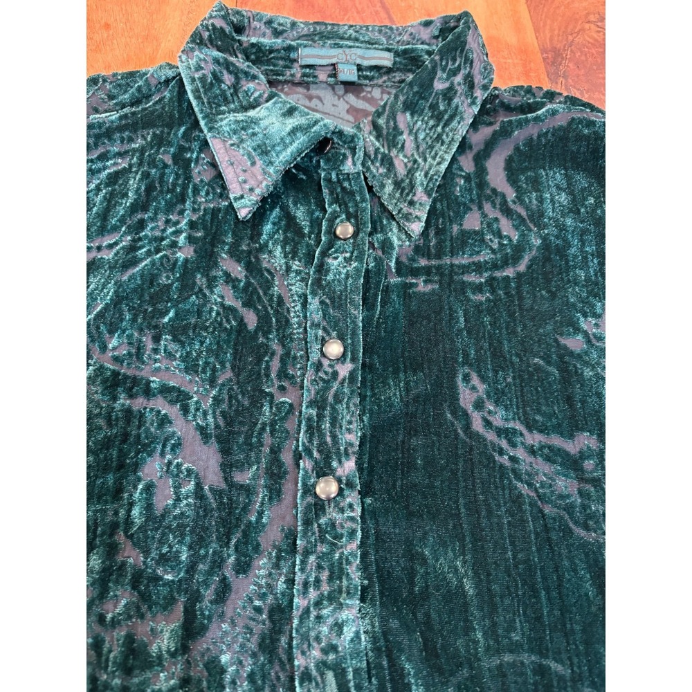 CYC green velvet burnout paisley button up long sleeve blouse womens' sz XL sexy - Picture 2 of 13